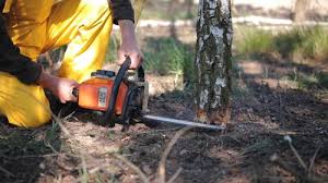 Best Weed Control  in Lowry Crossing, TX